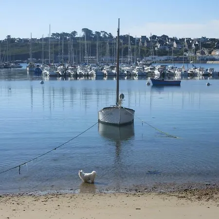 Appartements Tonton Jo Camaret-sur-Mer Exterior foto